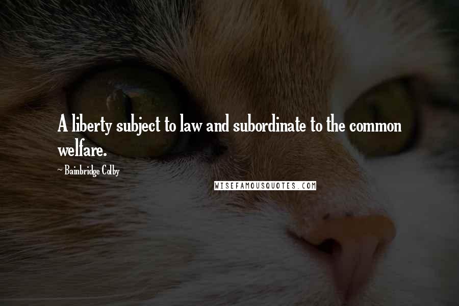 Bainbridge Colby Quotes: A liberty subject to law and subordinate to the common welfare.