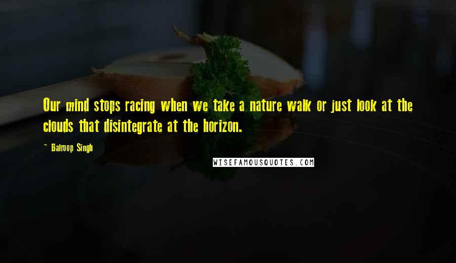 Balroop Singh Quotes: Our mind stops racing when we take a nature walk or just look at the clouds that disintegrate at the horizon.