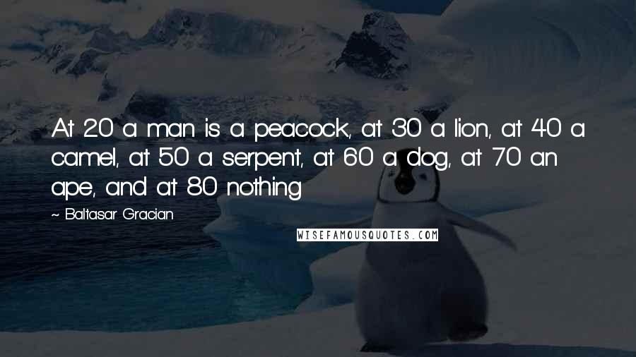 Baltasar Gracian Quotes: At 20 a man is a peacock, at 30 a lion, at 40 a camel, at 50 a serpent, at 60 a dog, at 70 an ape, and at 80 nothing