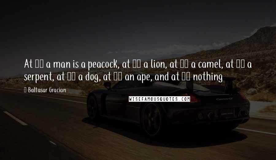 Baltasar Gracian Quotes: At 20 a man is a peacock, at 30 a lion, at 40 a camel, at 50 a serpent, at 60 a dog, at 70 an ape, and at 80 nothing