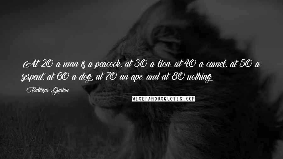 Baltasar Gracian Quotes: At 20 a man is a peacock, at 30 a lion, at 40 a camel, at 50 a serpent, at 60 a dog, at 70 an ape, and at 80 nothing