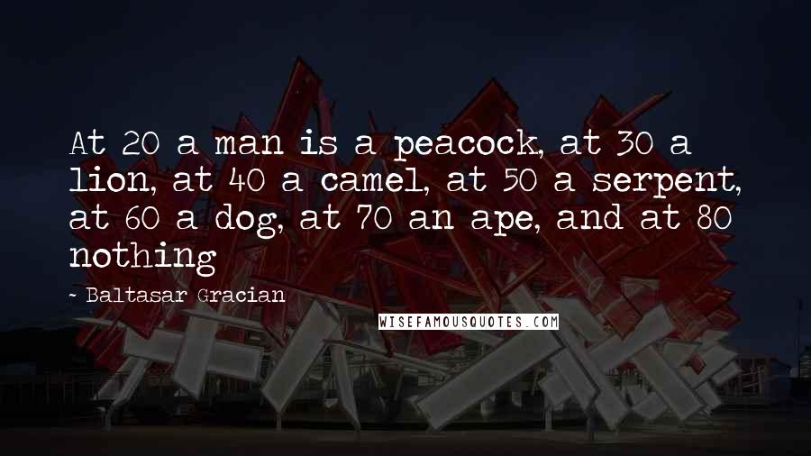 Baltasar Gracian Quotes: At 20 a man is a peacock, at 30 a lion, at 40 a camel, at 50 a serpent, at 60 a dog, at 70 an ape, and at 80 nothing