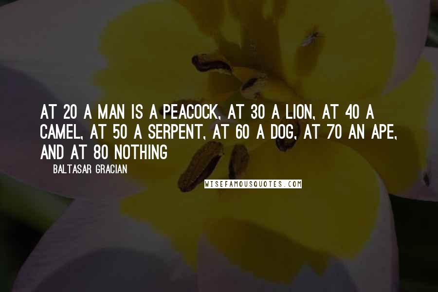 Baltasar Gracian Quotes: At 20 a man is a peacock, at 30 a lion, at 40 a camel, at 50 a serpent, at 60 a dog, at 70 an ape, and at 80 nothing