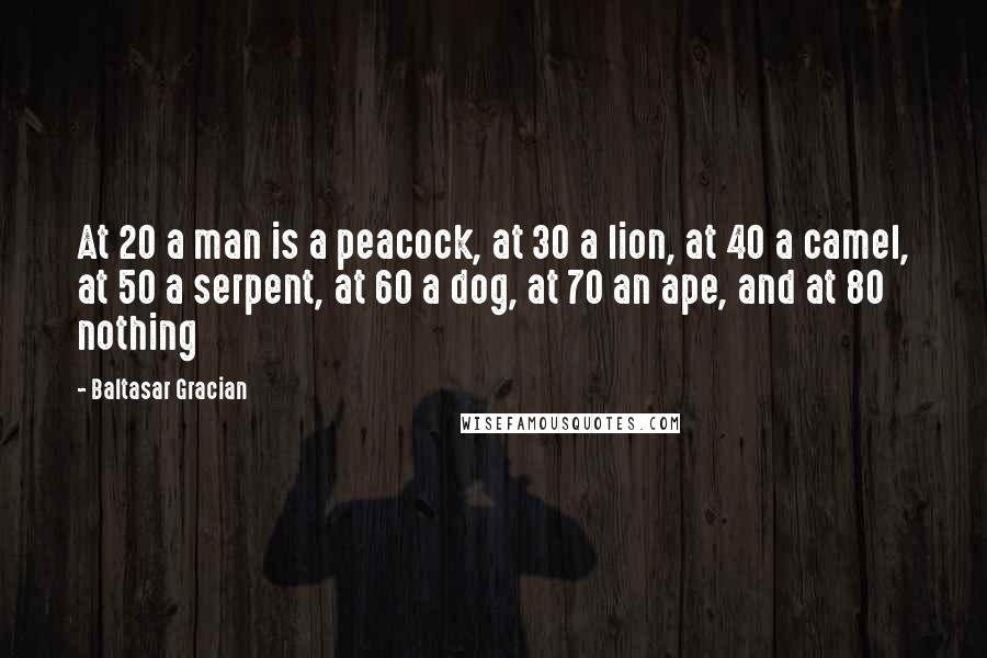 Baltasar Gracian Quotes: At 20 a man is a peacock, at 30 a lion, at 40 a camel, at 50 a serpent, at 60 a dog, at 70 an ape, and at 80 nothing