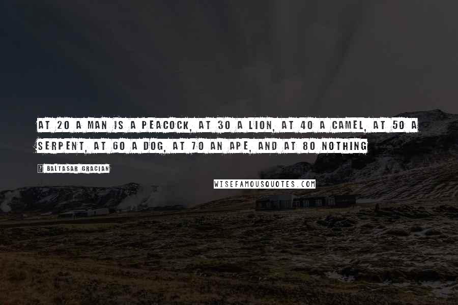 Baltasar Gracian Quotes: At 20 a man is a peacock, at 30 a lion, at 40 a camel, at 50 a serpent, at 60 a dog, at 70 an ape, and at 80 nothing