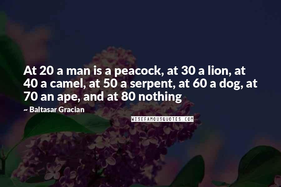 Baltasar Gracian Quotes: At 20 a man is a peacock, at 30 a lion, at 40 a camel, at 50 a serpent, at 60 a dog, at 70 an ape, and at 80 nothing