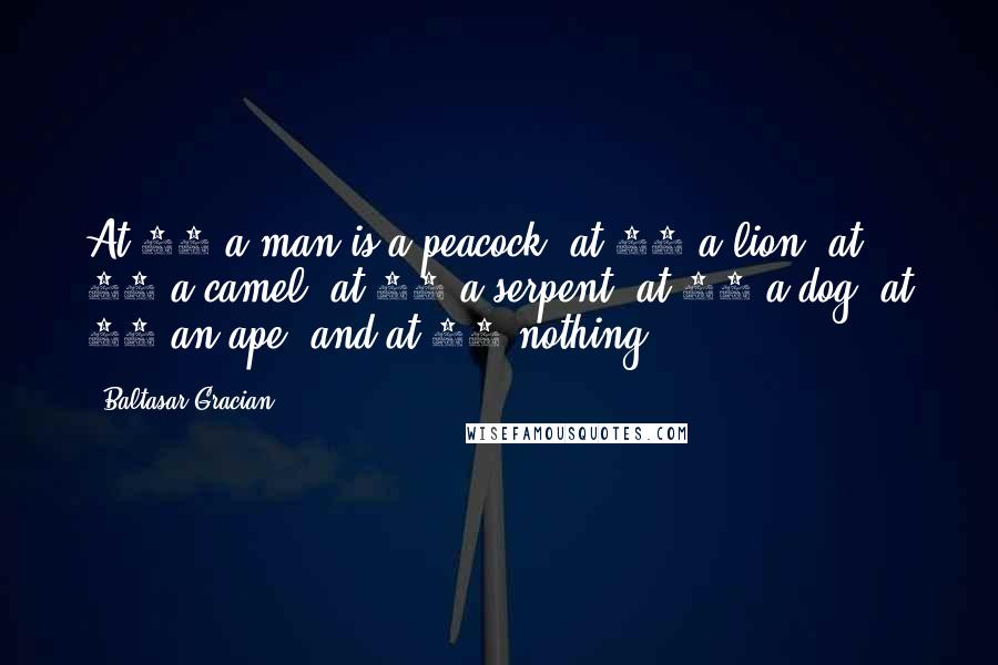 Baltasar Gracian Quotes: At 20 a man is a peacock, at 30 a lion, at 40 a camel, at 50 a serpent, at 60 a dog, at 70 an ape, and at 80 nothing