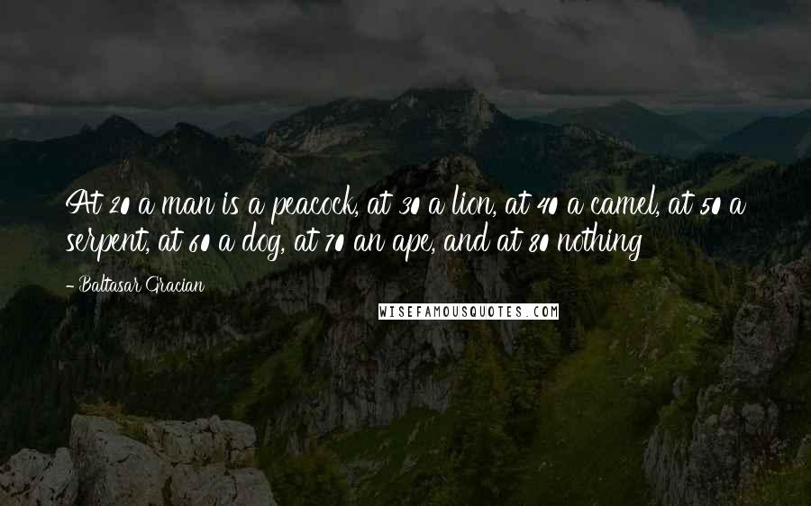 Baltasar Gracian Quotes: At 20 a man is a peacock, at 30 a lion, at 40 a camel, at 50 a serpent, at 60 a dog, at 70 an ape, and at 80 nothing