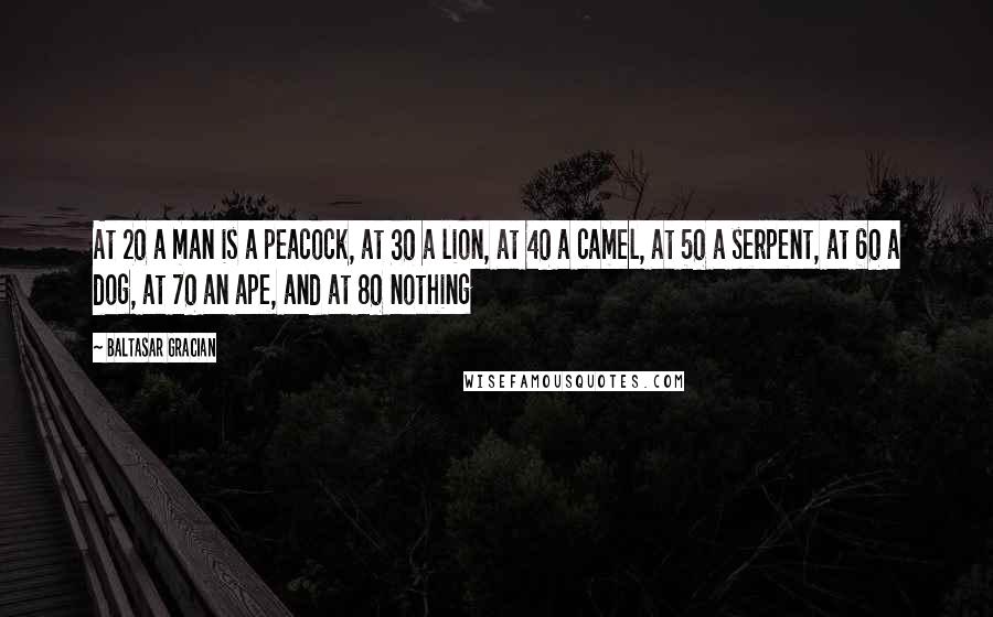 Baltasar Gracian Quotes: At 20 a man is a peacock, at 30 a lion, at 40 a camel, at 50 a serpent, at 60 a dog, at 70 an ape, and at 80 nothing