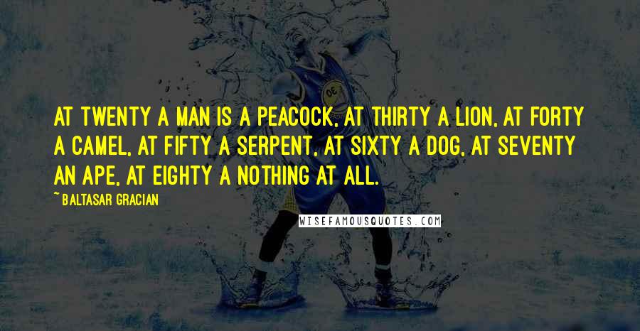 Baltasar Gracian Quotes: At twenty a man is a peacock, at thirty a lion, at forty a camel, at fifty a serpent, at sixty a dog, at seventy an ape, at eighty a nothing at all.