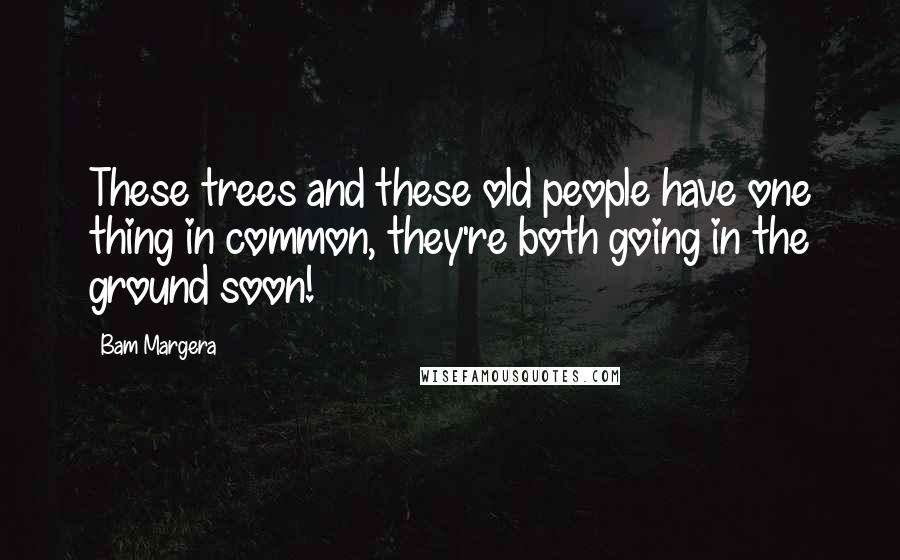 Bam Margera Quotes: These trees and these old people have one thing in common, they're both going in the ground soon!