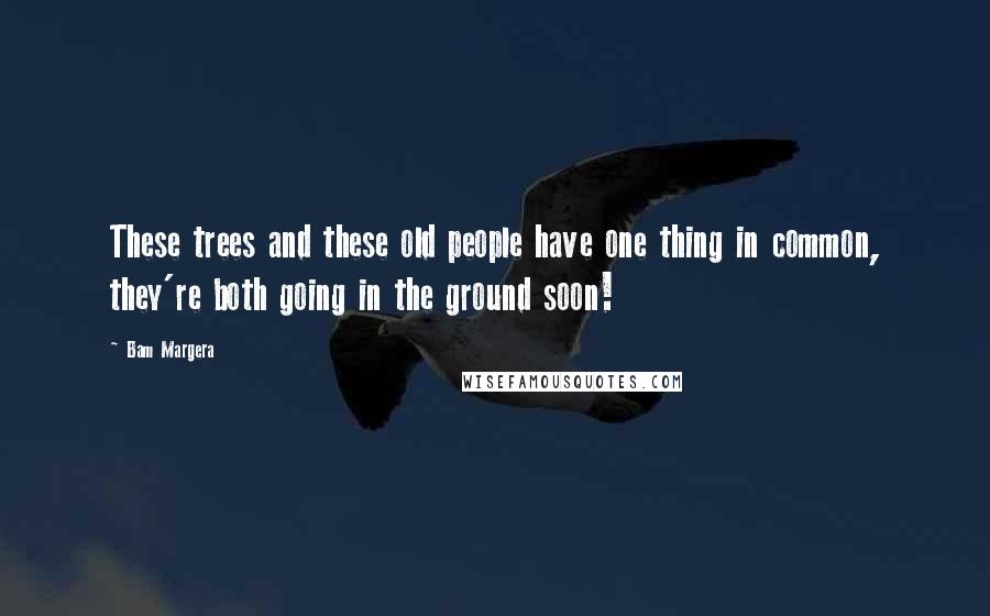 Bam Margera Quotes: These trees and these old people have one thing in common, they're both going in the ground soon!