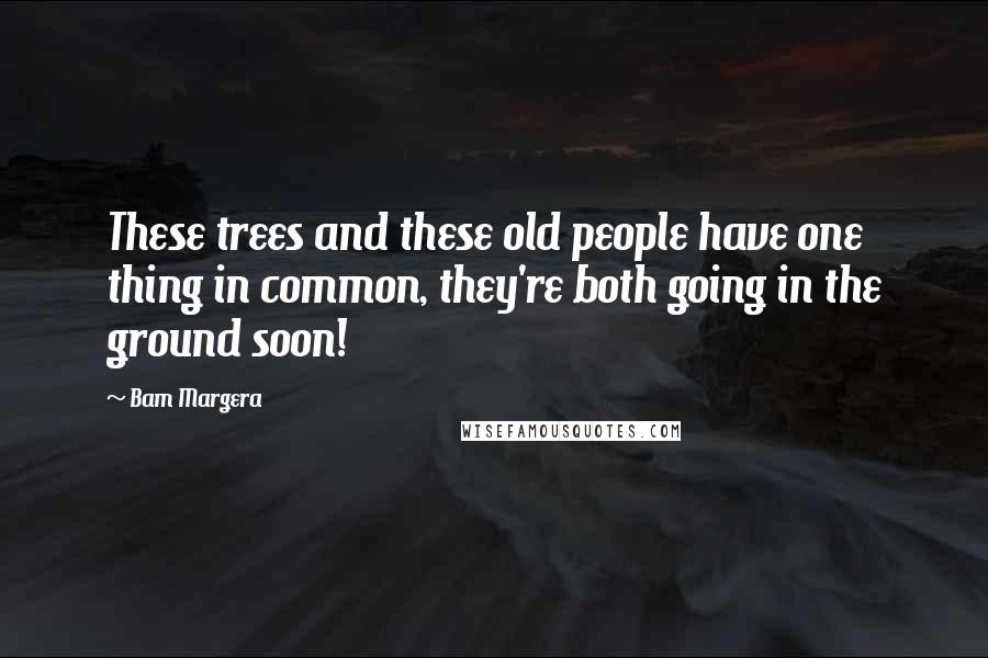 Bam Margera Quotes: These trees and these old people have one thing in common, they're both going in the ground soon!