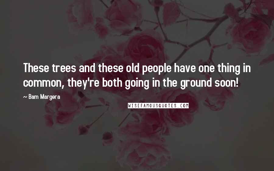 Bam Margera Quotes: These trees and these old people have one thing in common, they're both going in the ground soon!