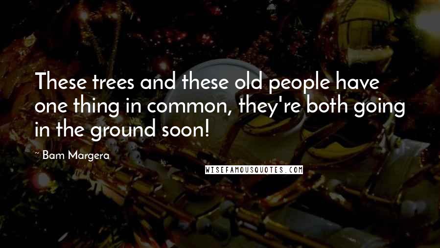 Bam Margera Quotes: These trees and these old people have one thing in common, they're both going in the ground soon!