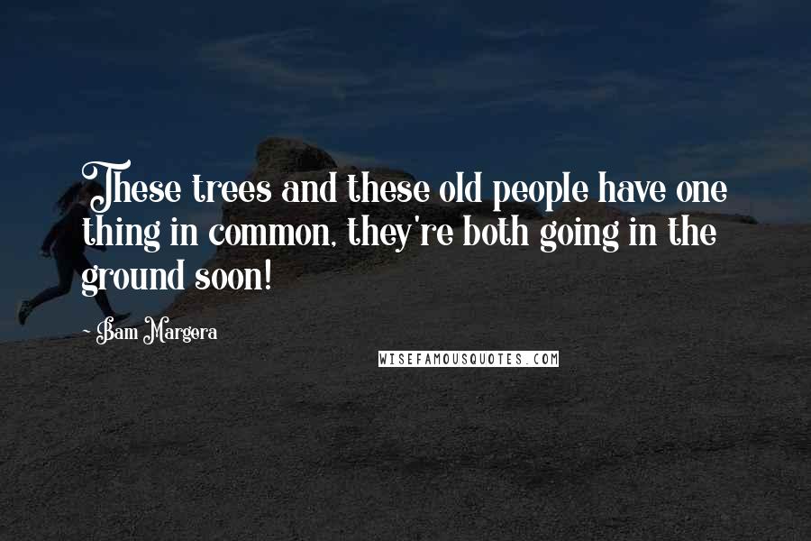 Bam Margera Quotes: These trees and these old people have one thing in common, they're both going in the ground soon!