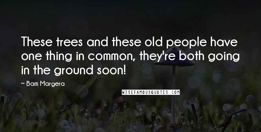 Bam Margera Quotes: These trees and these old people have one thing in common, they're both going in the ground soon!