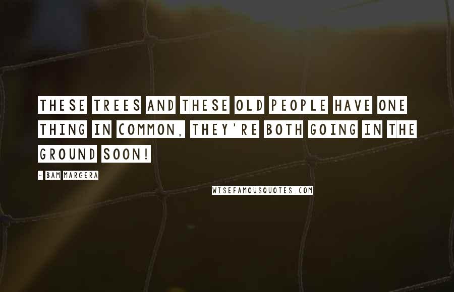 Bam Margera Quotes: These trees and these old people have one thing in common, they're both going in the ground soon!