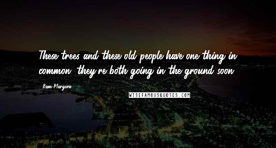 Bam Margera Quotes: These trees and these old people have one thing in common, they're both going in the ground soon!