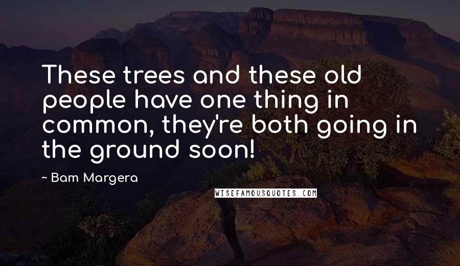 Bam Margera Quotes: These trees and these old people have one thing in common, they're both going in the ground soon!