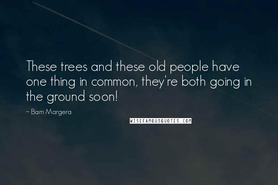 Bam Margera Quotes: These trees and these old people have one thing in common, they're both going in the ground soon!