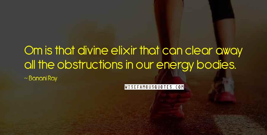 Banani Ray Quotes: Om is that divine elixir that can clear away all the obstructions in our energy bodies.