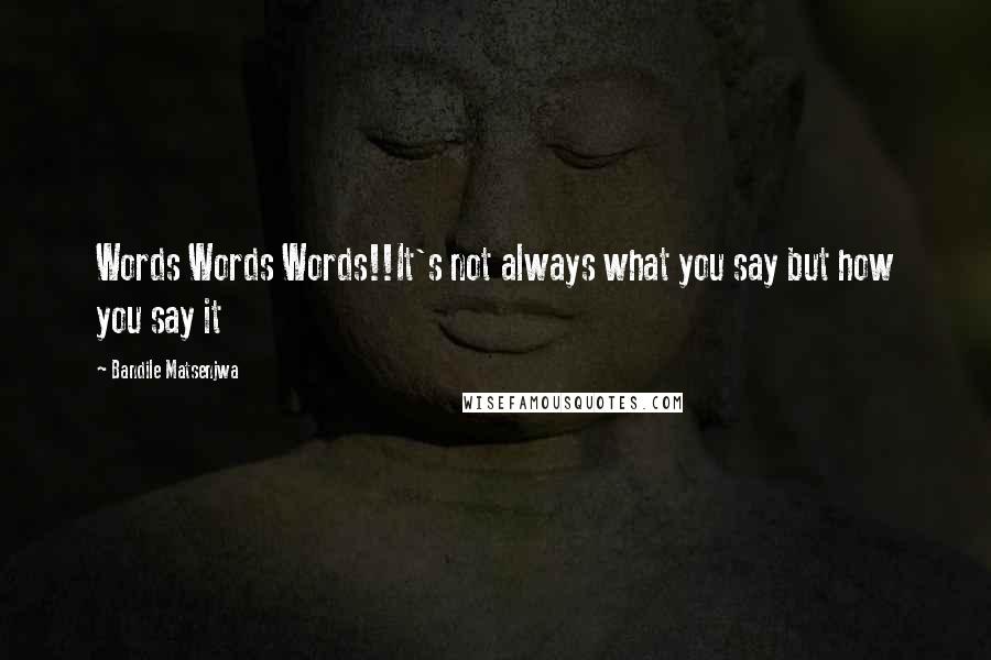 Bandile Matsenjwa Quotes: Words Words Words!!It's not always what you say but how you say it