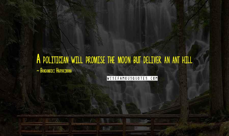 Bangambiki Habyarimana Quotes: A politician will promise the moon but deliver an ant hill