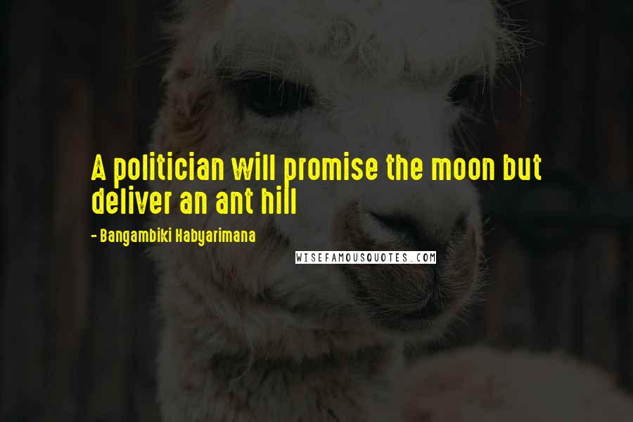 Bangambiki Habyarimana Quotes: A politician will promise the moon but deliver an ant hill