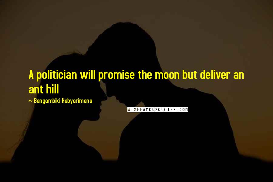 Bangambiki Habyarimana Quotes: A politician will promise the moon but deliver an ant hill