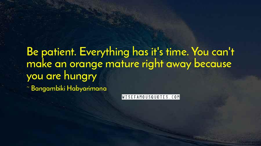 Bangambiki Habyarimana Quotes: Be patient. Everything has it's time. You can't make an orange mature right away because you are hungry