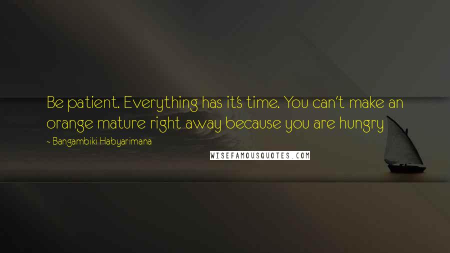 Bangambiki Habyarimana Quotes: Be patient. Everything has it's time. You can't make an orange mature right away because you are hungry
