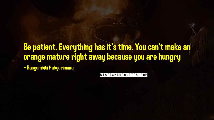 Bangambiki Habyarimana Quotes: Be patient. Everything has it's time. You can't make an orange mature right away because you are hungry