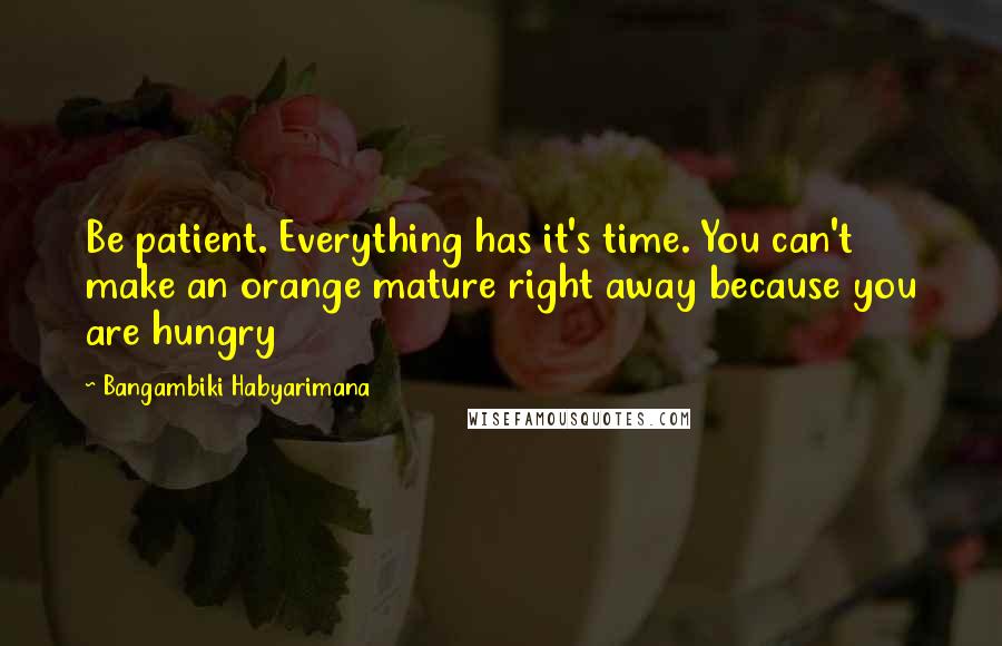 Bangambiki Habyarimana Quotes: Be patient. Everything has it's time. You can't make an orange mature right away because you are hungry