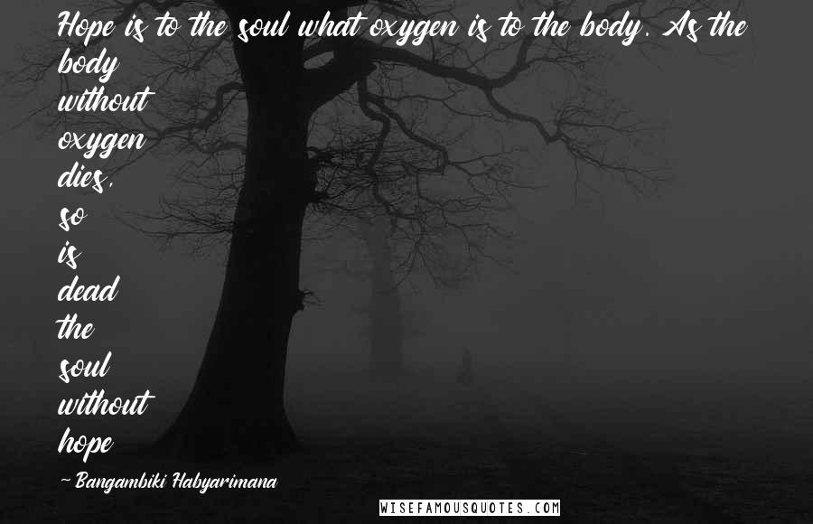 Bangambiki Habyarimana Quotes: Hope is to the soul what oxygen is to the body. As the body without oxygen dies, so is dead the soul without hope