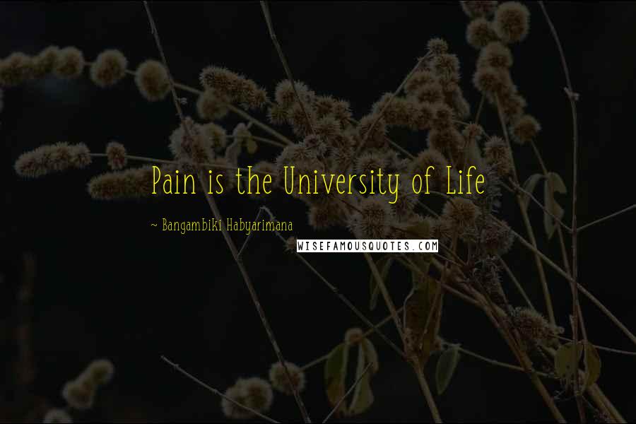 Bangambiki Habyarimana Quotes: Pain is the University of Life