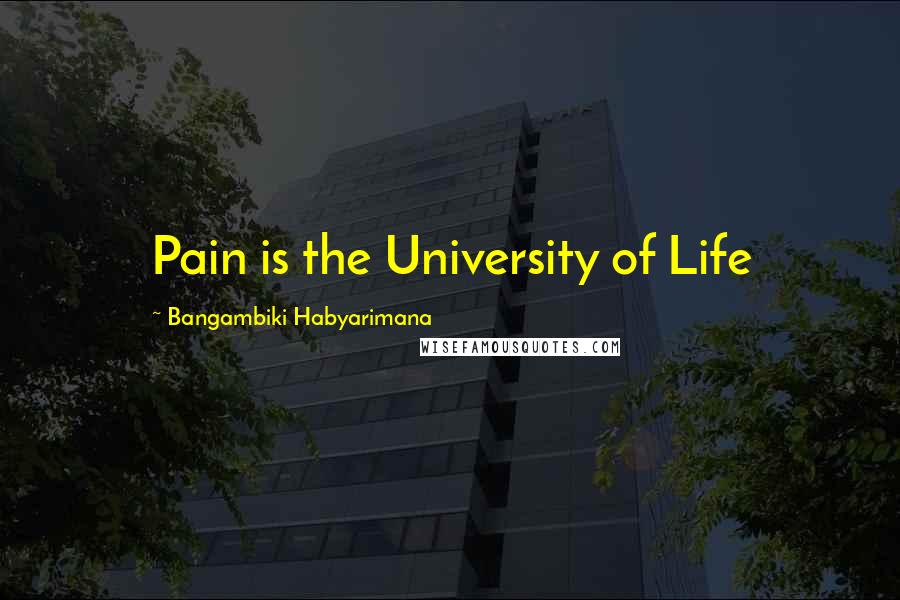 Bangambiki Habyarimana Quotes: Pain is the University of Life