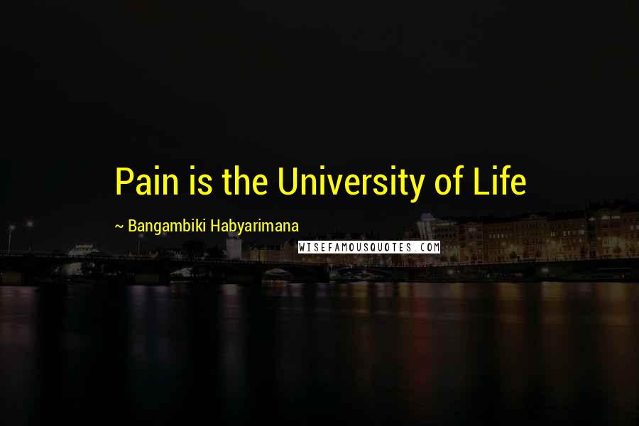 Bangambiki Habyarimana Quotes: Pain is the University of Life