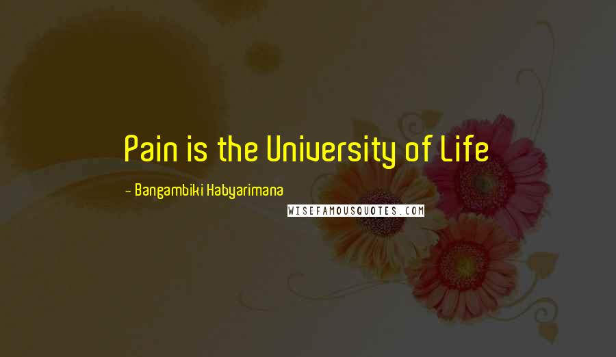Bangambiki Habyarimana Quotes: Pain is the University of Life