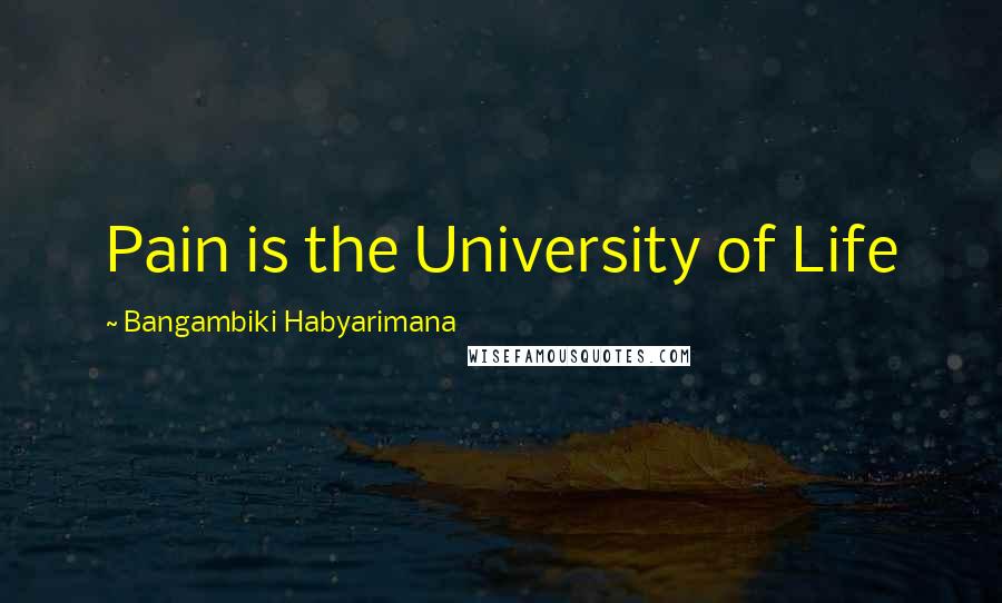 Bangambiki Habyarimana Quotes: Pain is the University of Life