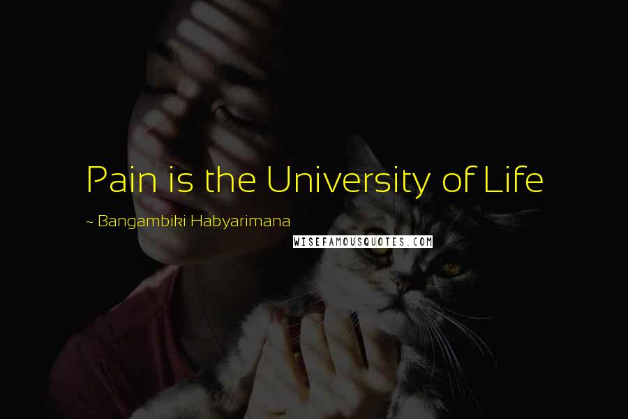 Bangambiki Habyarimana Quotes: Pain is the University of Life