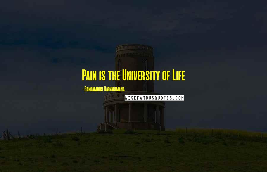Bangambiki Habyarimana Quotes: Pain is the University of Life