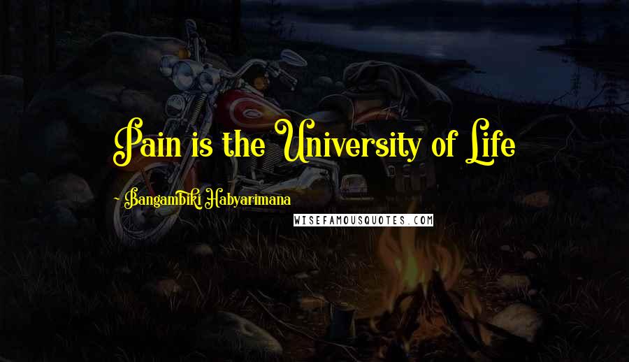 Bangambiki Habyarimana Quotes: Pain is the University of Life