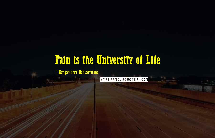 Bangambiki Habyarimana Quotes: Pain is the University of Life