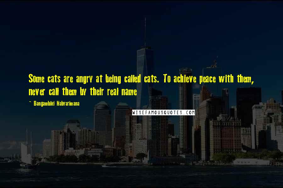 Bangambiki Habyarimana Quotes: Some cats are angry at being called cats. To achieve peace with them, never call them by their real name