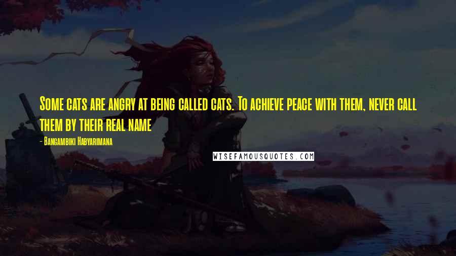 Bangambiki Habyarimana Quotes: Some cats are angry at being called cats. To achieve peace with them, never call them by their real name