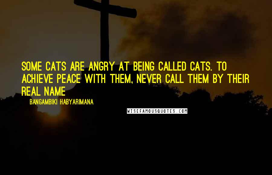 Bangambiki Habyarimana Quotes: Some cats are angry at being called cats. To achieve peace with them, never call them by their real name