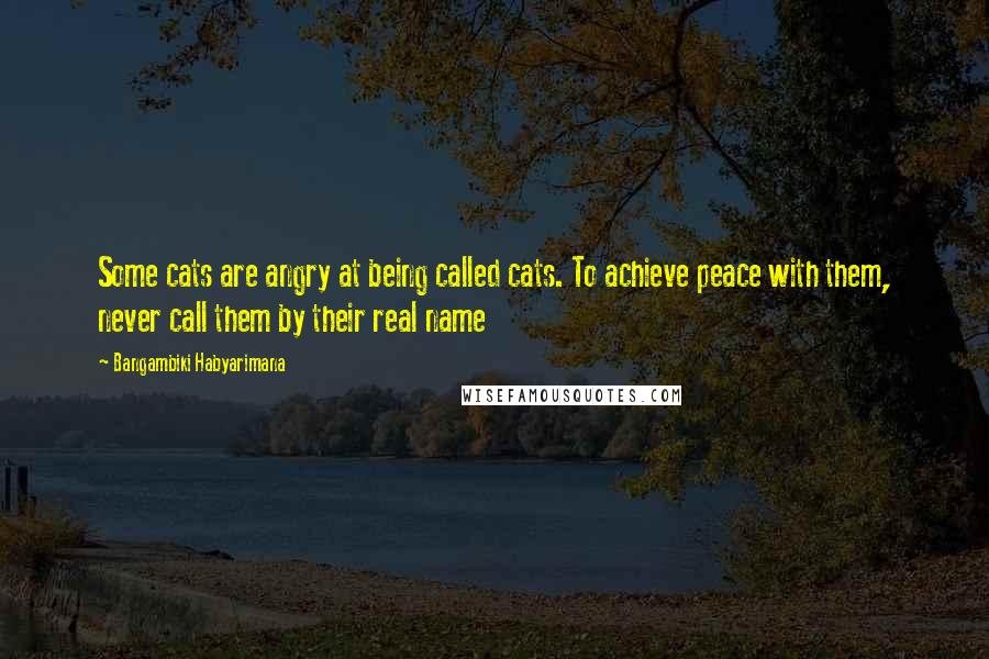 Bangambiki Habyarimana Quotes: Some cats are angry at being called cats. To achieve peace with them, never call them by their real name