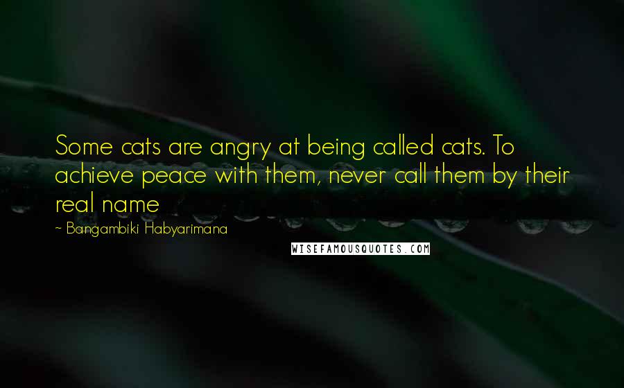 Bangambiki Habyarimana Quotes: Some cats are angry at being called cats. To achieve peace with them, never call them by their real name