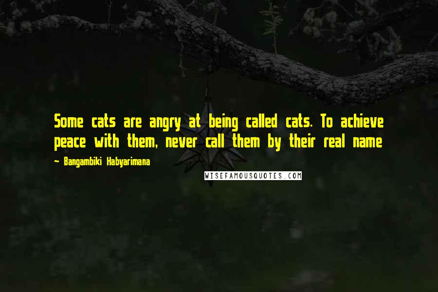 Bangambiki Habyarimana Quotes: Some cats are angry at being called cats. To achieve peace with them, never call them by their real name